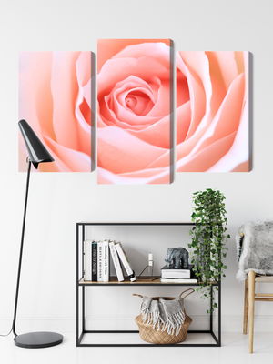 Ljuddämpande tavla - Pastel rose on a 3d macro