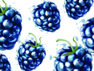 Ljuddämpande tavla - Painted blackberries