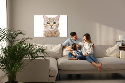 Ljuddämpande tavla - Scottish prostitute cat