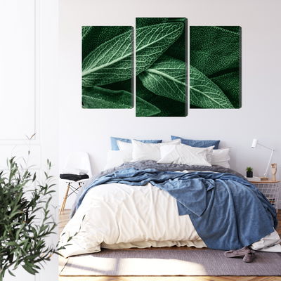 Ljuddämpande tavla - Salvia leaves on a macro