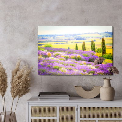 Ljuddämpande tavla - Blooming lavender field