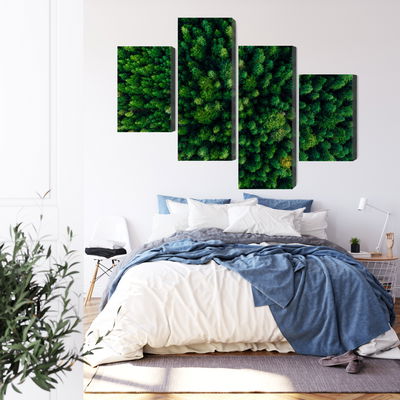 Ljuddämpande tavla - Aerial view of the green