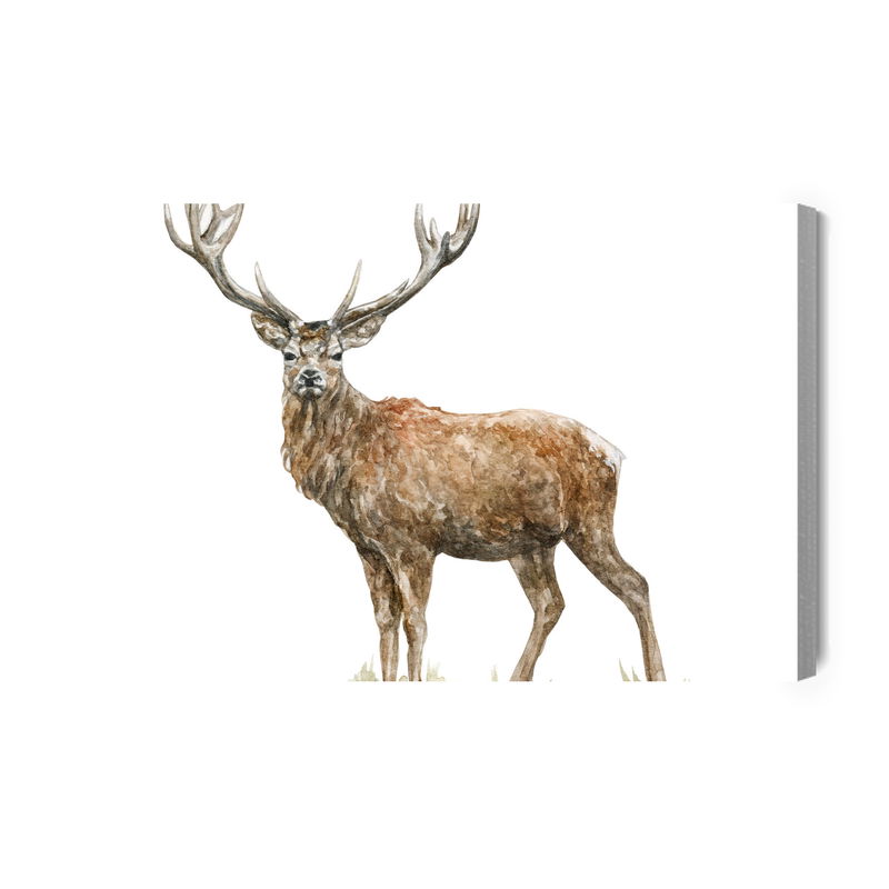 Ljuddämpande tavla - A deer like painted