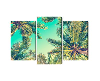 Ljuddämpande tavla - Bottom view of the palm trees