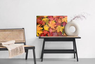 Ljuddämpande tavla - Maple leaves in fall colors
