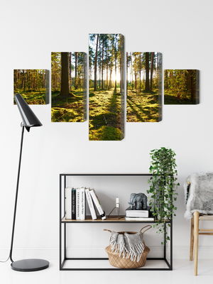 Ljuddämpande tavla - Forest landscape with sunset