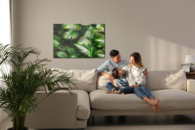 Ljuddämpande tavla - Green palm leaves