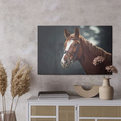 Ljuddämpande tavla - Horse on the background