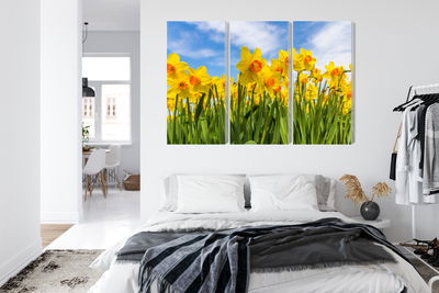 Ljuddämpande tavla - Daffodil field 3d