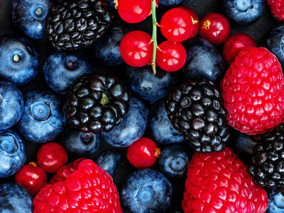 Ljuddämpande tavla - Forest fruits on a macro