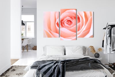 Ljuddämpande tavla - Pastel rose on a 3d macro
