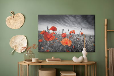 Ljuddämpande tavla - Wild poppies on a black