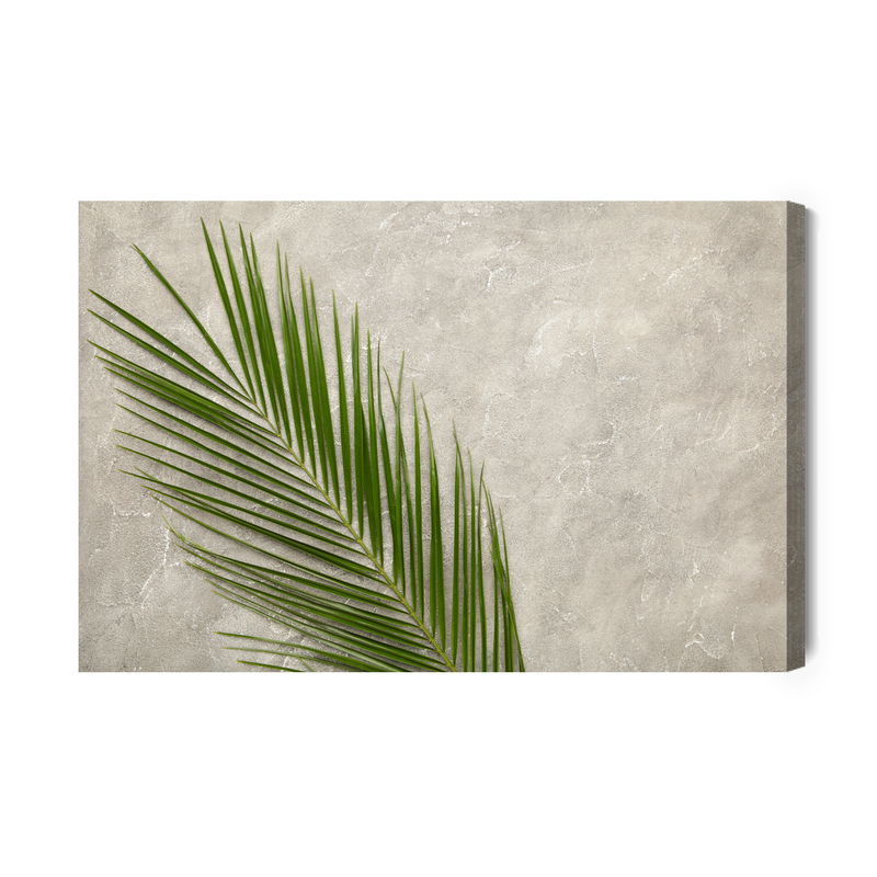 Ljuddämpande tavla - Palm leaf on a concrete