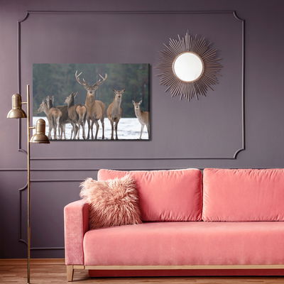 Ljuddämpande tavla - A deer and a doe