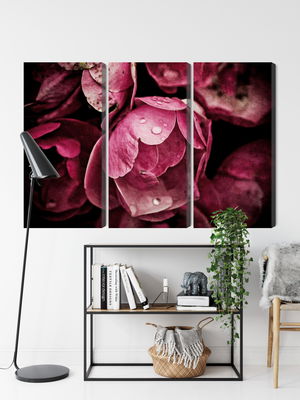 Ljuddämpande tavla - Peony flowers close up 3d