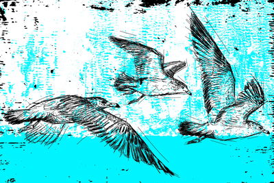Ljuddämpande tavla - Drawn seagulls in retro style