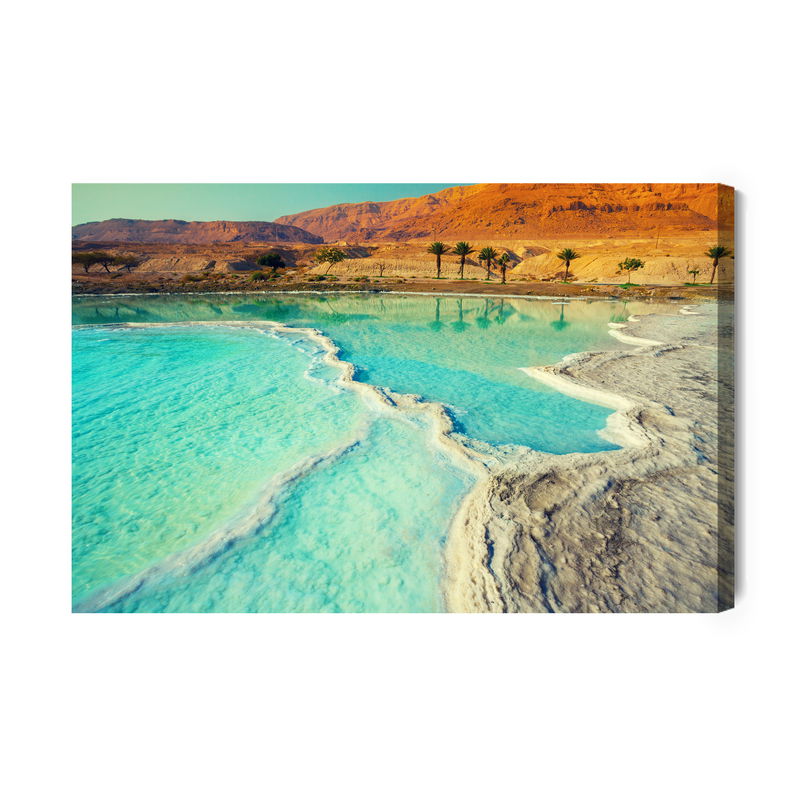 Ljuddämpande tavla - Dead sea and landscape