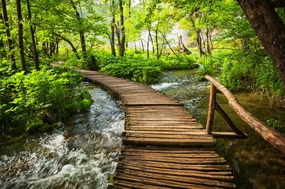 Ljuddämpande tavla - Wooden bridge in a forest