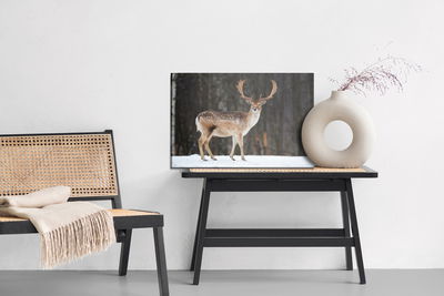 Ljuddämpande tavla - Deer on the background