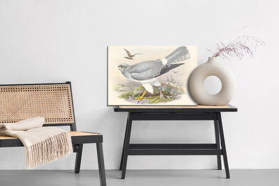 Ljuddämpande tavla - Birds of prey