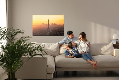 Ljuddämpande tavla - View of Paris