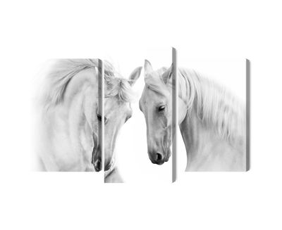 Ljuddämpande tavla - Two horses on a white