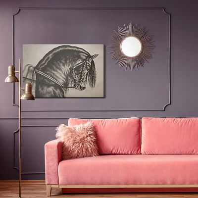 Ljuddämpande tavla - Sketched horse