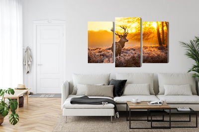 Ljuddämpande tavla - Deer in the forest at sunset