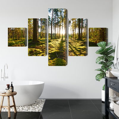 Ljuddämpande tavla - Forest landscape with sunset