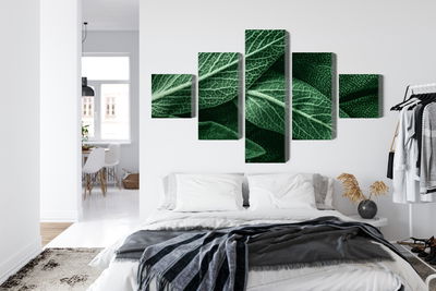 Ljuddämpande tavla - Salvia leaves on a macro