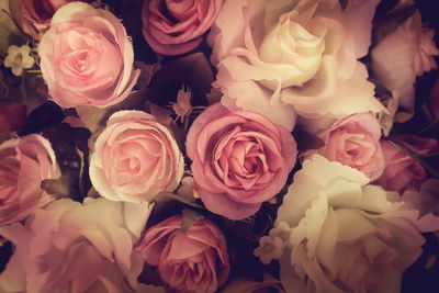 Ljuddämpande tavla - Colorful roses with a 3d