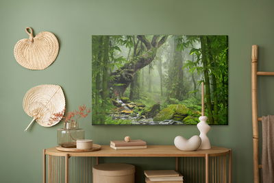 Ljuddämpande tavla - Tropical jungle