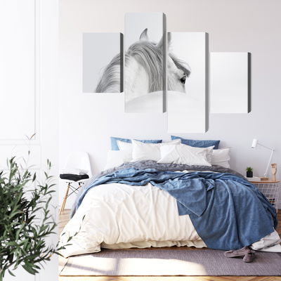 Ljuddämpande tavla - Andalusian horse in the fog