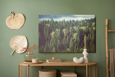 Ljuddämpande tavla - Forest with fog