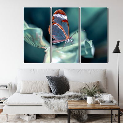 Ljuddämpande tavla - Glass-winged butterfly close