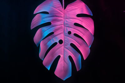 Ljuddämpande tavla - Colorful monstera leaf