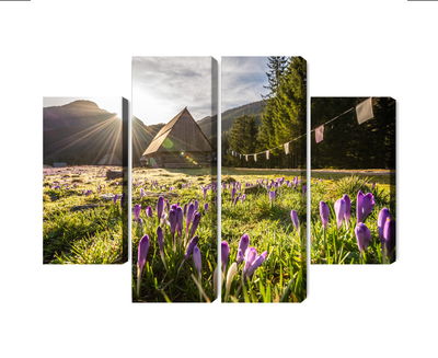 Ljuddämpande tavla - Chocholowska valley