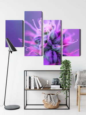 Ljuddämpande tavla - Macro plant on a pink-purple