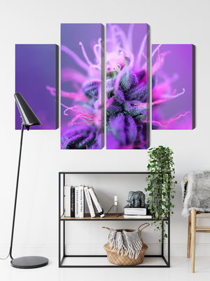 Ljuddämpande tavla - Macro plant on a pink-purple