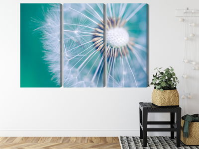 Ljuddämpande tavla - Dandelion on a macro scale