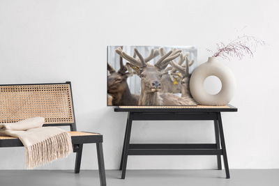 Ljuddämpande tavla - A herd of reindeer