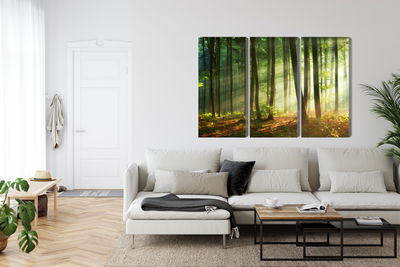 Ljuddämpande tavla - The rays of the sun