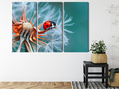 Ljuddämpande tavla - Ladybug on a dandelion
