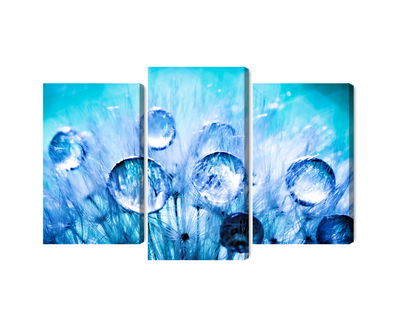 Ljuddämpande tavla - Dew drops on dandelion seeds