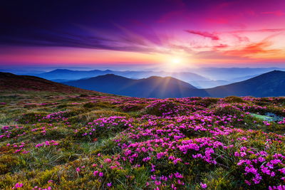 Ljuddämpande tavla - Beautiful mountain country