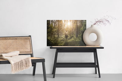 Ljuddämpande tavla - Deer and the sun's rays