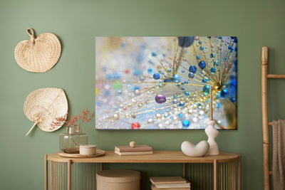 Ljuddämpande tavla - Dandelion, colorful drops