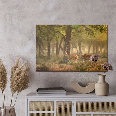 Ljuddämpande tavla - Spotted young deer