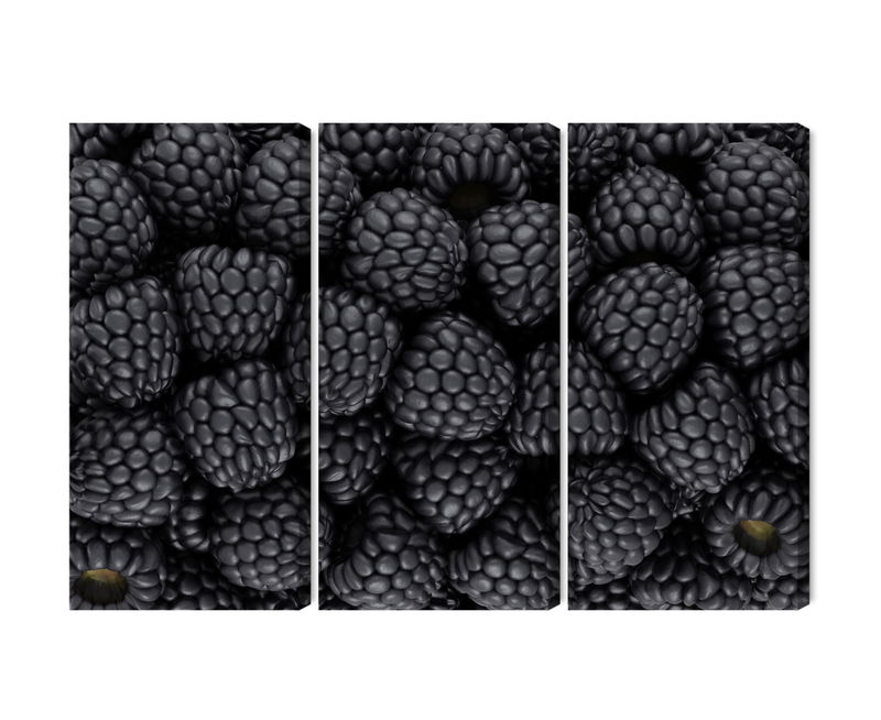 Ljuddämpande tavla - Blackberries on a macro scale