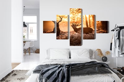 Ljuddämpande tavla - Two deer in the forest